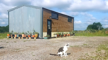 profile picture of The Space - Yoga in Dorset