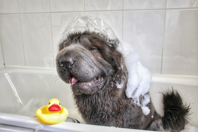 profile picture of Doggie Wash profile picture