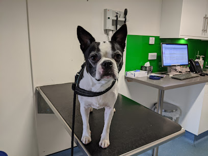 profile picture of Pets'n'Vets in Glasgow - The Roundhouse Veterinary Hospital profile picture