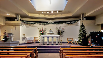 profile picture of Holy Name Catholic Church, Giffnock profile picture