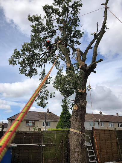 profile picture of James Grove Ltd-Worcester Tree Surgeons & Firewood Deliveries profile picture