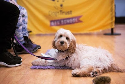 Dogs Trust Dog School Worcestershire