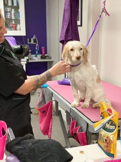 profile picture of Bark 'n' Bubbles Professional Dog Grooming and Spa