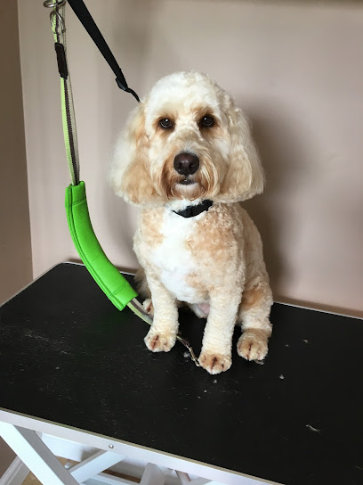 Barks and Bubbles Grooming Grantham