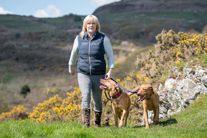 profile picture of The Canine Centre profile picture