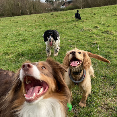 profile picture of The Happy Hound Gang