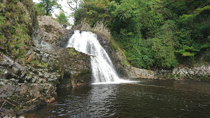 profile picture of Coed y Brenin Forest Park profile picture