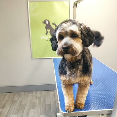 profile picture of Wag & Bone Dog Grooming Halifax profile picture