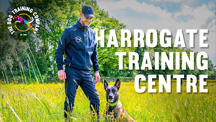 profile picture of The Dog Training Company Harrogate profile picture