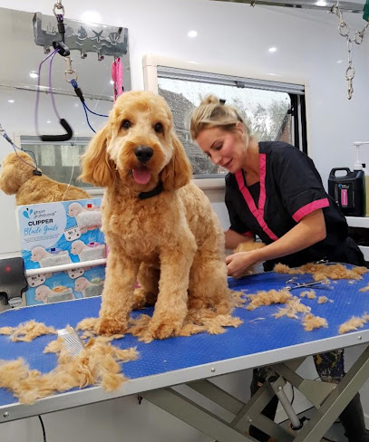 profile picture of Groom palace Harrogate Dog Grooming Cat Grooming