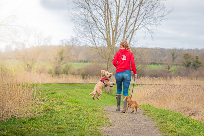 profile picture of We Love Pets Hereford - Dog Walker, Pet Sitter and Home Boarder profile picture