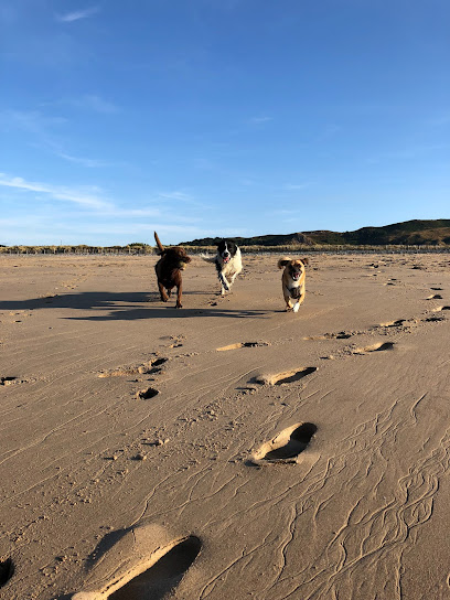 profile picture of Muddy Hounds Hereford profile picture