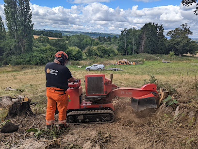 Mortimer Tree Services