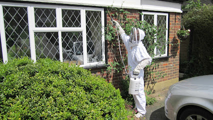 profile picture of Wasp Nest Removal Herefordshire profile picture