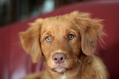 profile picture of Inshes Veterinary Centre