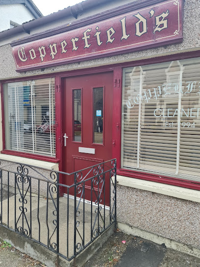 profile picture of Copperfields Cleaners