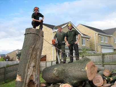 profile picture of Able Tree Surgeons profile picture