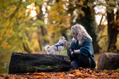 profile picture of Emmas Dog Behaviour and Training profile picture