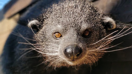 profile picture of Hamerton Zoo Park profile picture