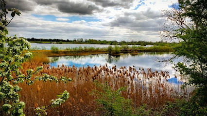 profile picture of RSPB Ouse Fen Reserve profile picture