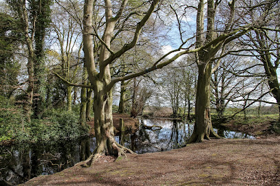 profile picture of Sandfield Natural Play Centre