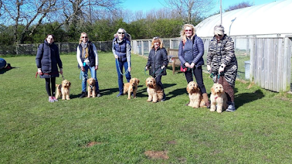 profile picture of West Lancs Canine Centre profile picture