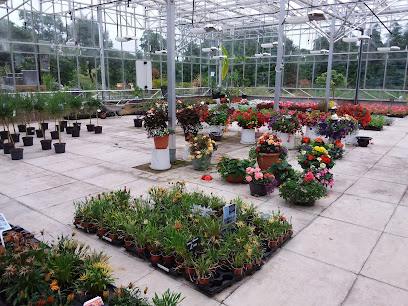 profile picture of Stoneybrook nursery trees,shrub plant centre profile picture