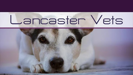 profile picture of Lancaster Vets profile picture