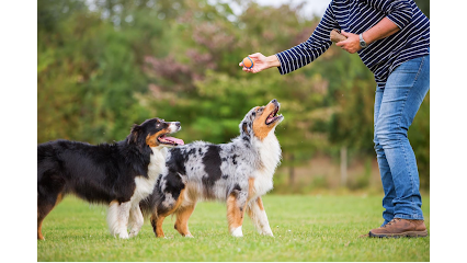 profile picture of Canine Company profile picture