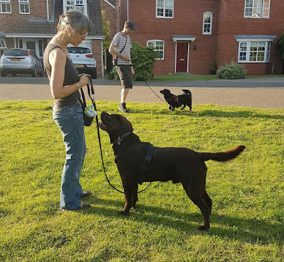 profile picture of Fern Ember Dog Behaviour profile picture