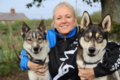 profile picture of Speak Dog Animal Behaviour Councillor and Tutor profile picture