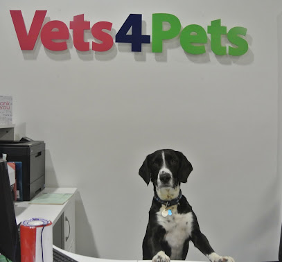 profile picture of Vets4Pets - Lisburn profile picture