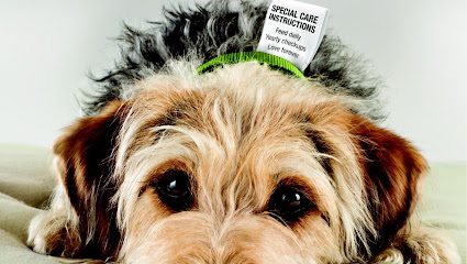 profile picture of Advance Veterinary Care profile picture