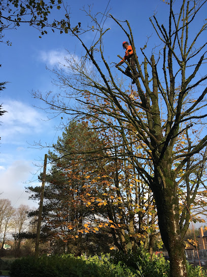 profile picture of Gascoigne Garden & Tree Services Ltd profile picture