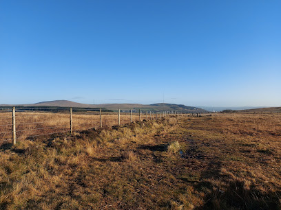 profile picture of Slievenacloy Nature Reserve profile picture