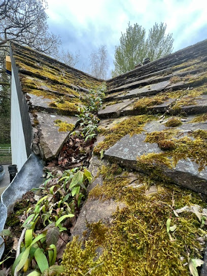 profile picture of Clean Assured - Window Cleaning & Gutter Cleaning - Commercial & Domestic profile picture