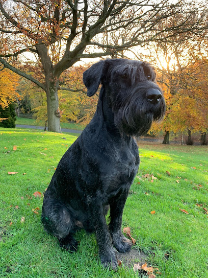 profile picture of Little and Large Dog Grooming