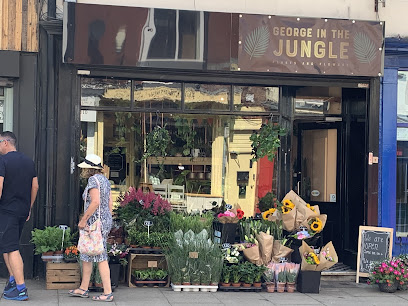 George In The Jungle