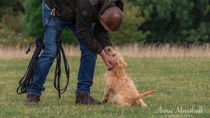 profile picture of Kent Dog Training profile picture