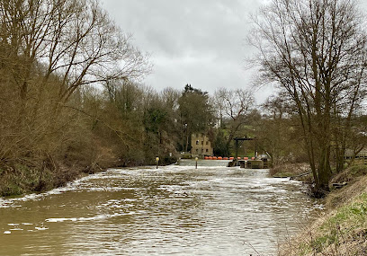 profile picture of Teston Bridge Country Park profile picture