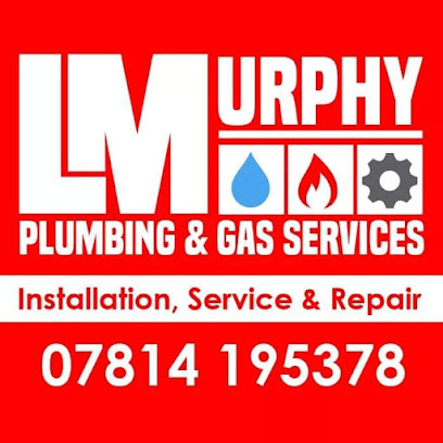 profile picture of L Murphy Plumbing & Gas Services profile picture