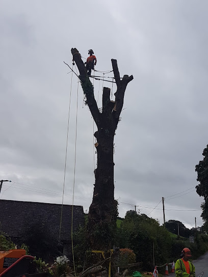 Pitchford Tree Services