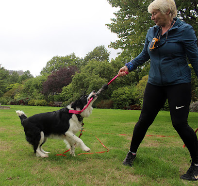 profile picture of Boomerang Dogs - Dog and Puppy Training and Behaviour profile picture