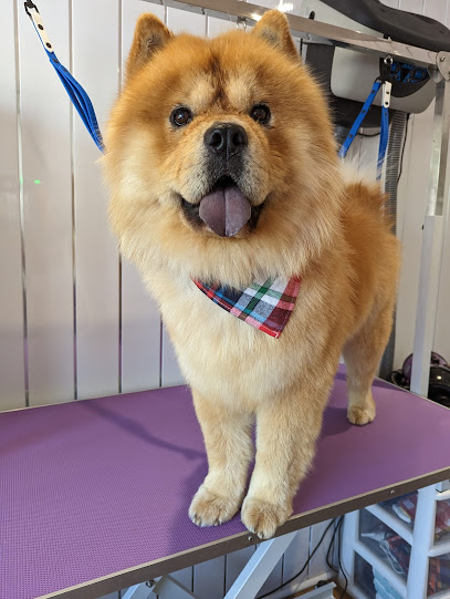 profile picture of Furology Dog Grooming Co. profile picture