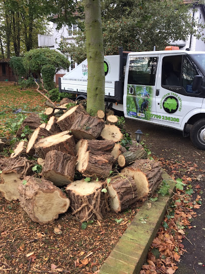 profile picture of Billingham Tree Services profile picture