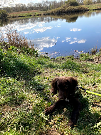 profile picture of Dakota's Choice - Animal Behaviour & Training profile picture