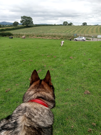 profile picture of A Dogs Tale Adventure profile picture