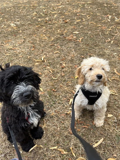 profile picture of We Love Pets Milton Keynes - Dog Walker, Pet Sitter & Home Boarder profile picture