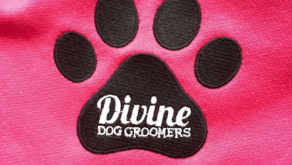 profile picture of Divine Dog Groomers Ltd profile picture