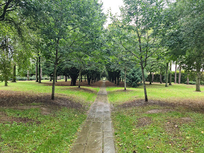 The Tree Cathedral